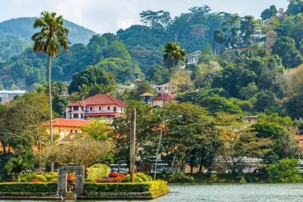 Nuwara Eliya & Colombo